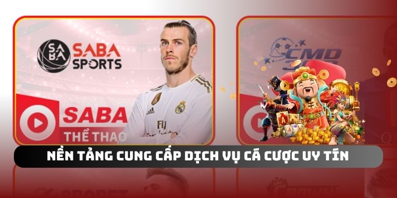 Nền tảng cung cấp dịch vụ cá cược uy tín